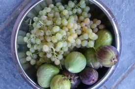 Fruits from the farm trees